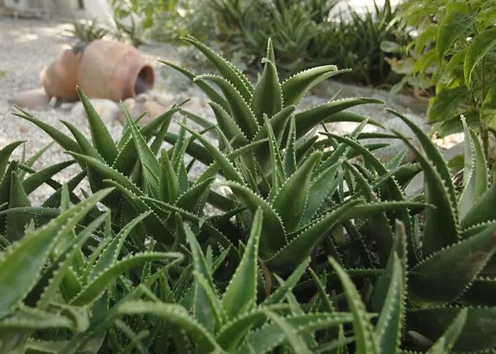 Venus De Milo Διαμέρισμα *